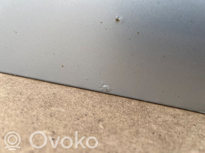 Aizmugurējās durvis