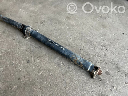 Rear cardan shaft