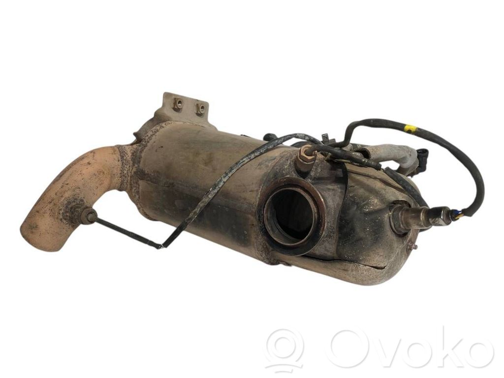 Catalyst, FAP/DPF particulate filter