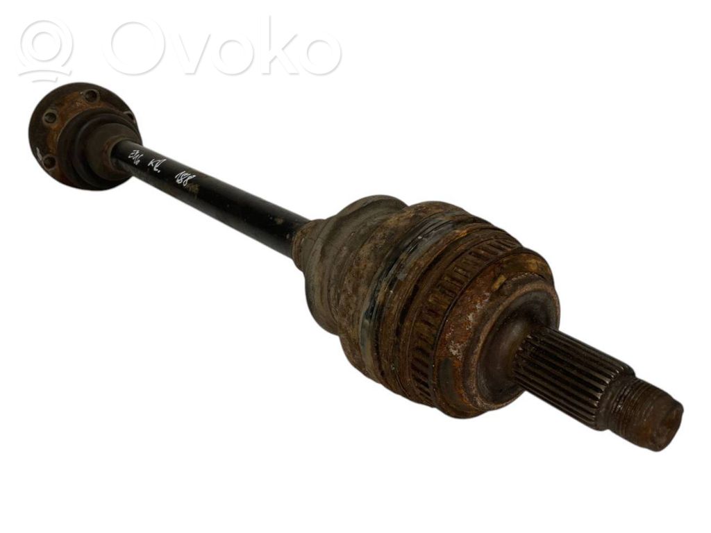 Aizmugurējā pusass