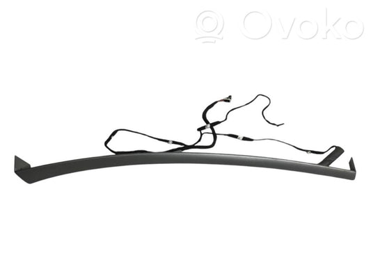 Cita veida aizmugurē durvju dekoratīvās apdares detaļas