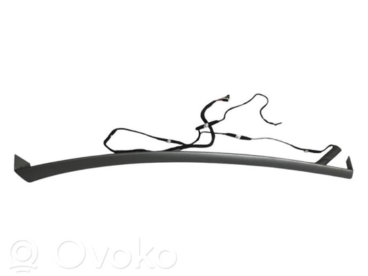 Cita veida aizmugurē durvju dekoratīvās apdares detaļas