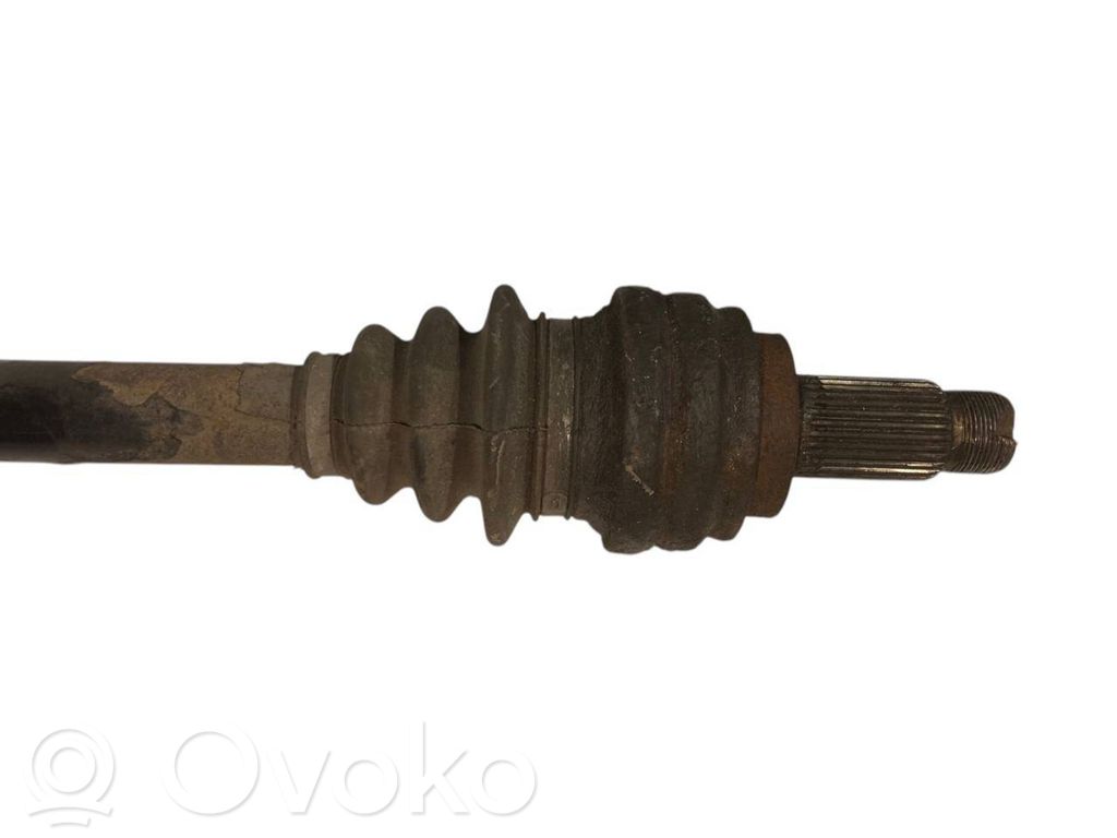 Aizmugurējā pusass