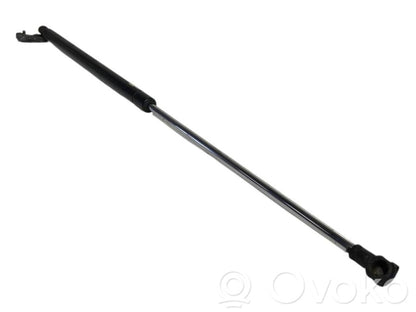 Bagāžnieka amortizators