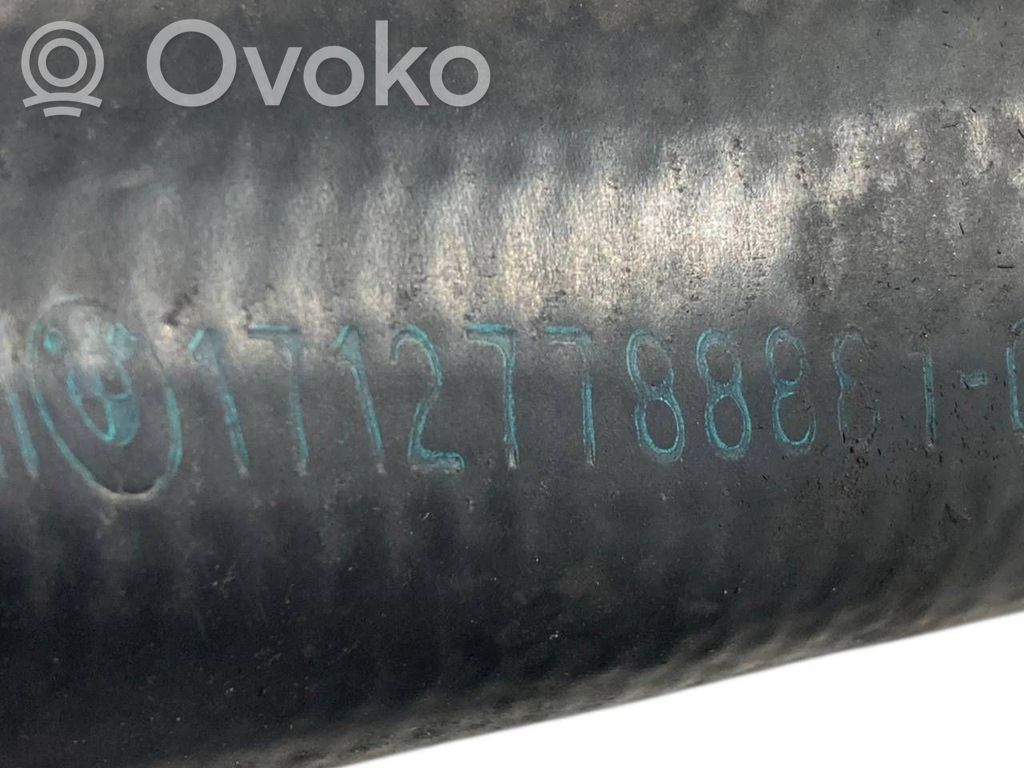 Caurulīte (-es) / šļūtene (-es)