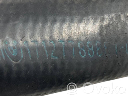 Caurulīte (-es) / šļūtene (-es)