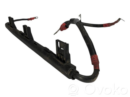 Plusa vads (akumulatora)