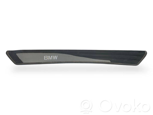 Rear door sill trim (inner)