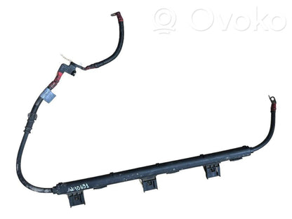 Plusa vads (akumulatora)