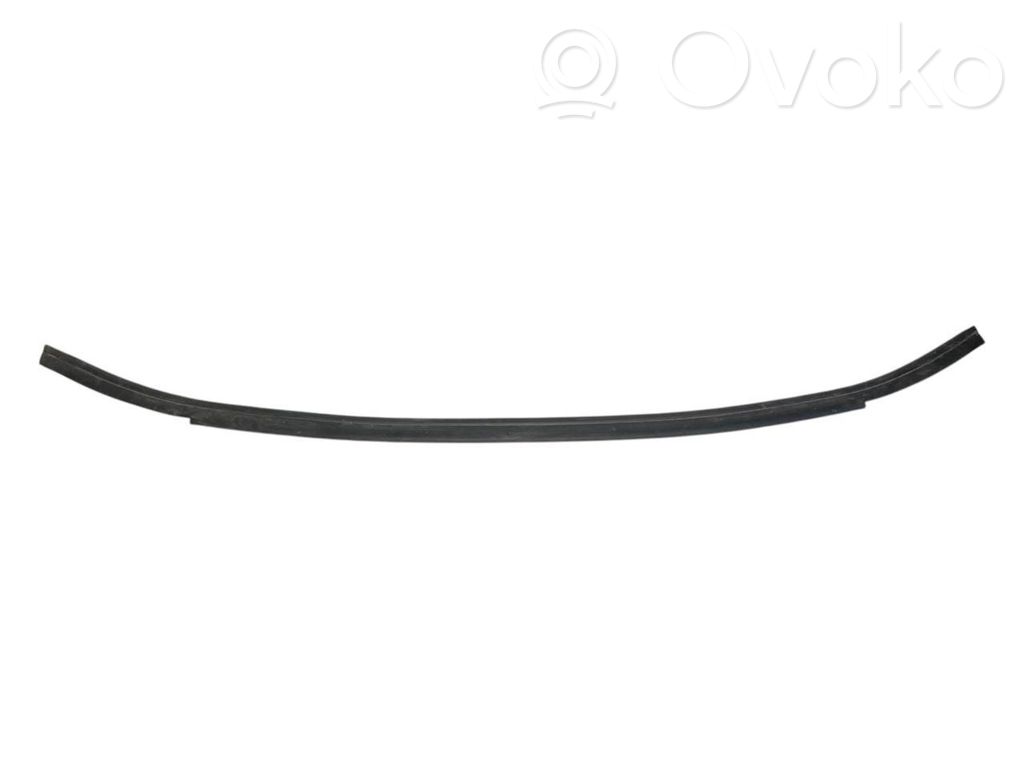 Dzinēja nodalījuma gumija