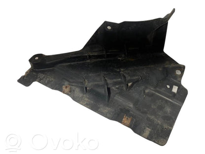 Under engine guard (front)