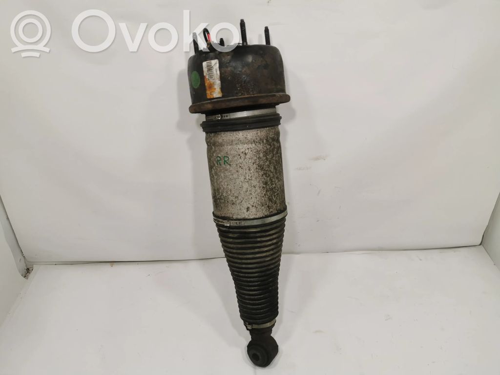 Задняя пневматическая (воздушная) подушка с амортизатором