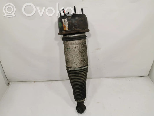 Aizmugurē pneimatiska (gaisa) spilvens ar amortizatoru