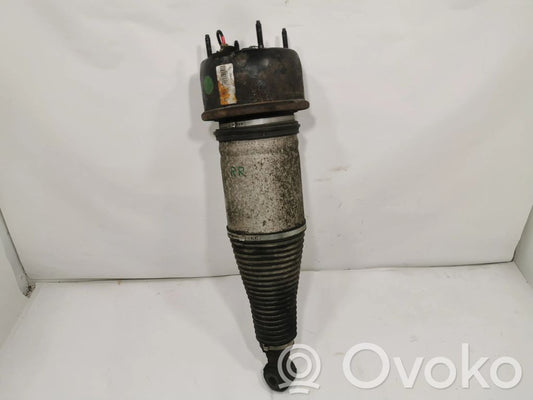 Задняя пневматическая (воздушная) подушка с амортизатором