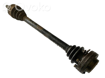 Aizmugurējā pusass