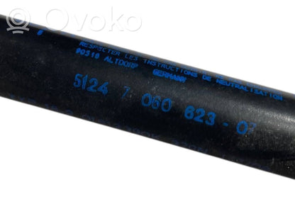 Aizmugurējā pārsega eņģe (-ess)