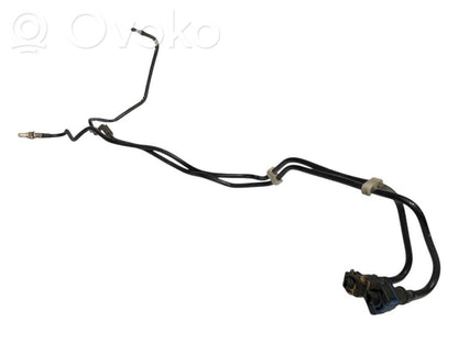 Caurule (-es) / šļūtene (-es)