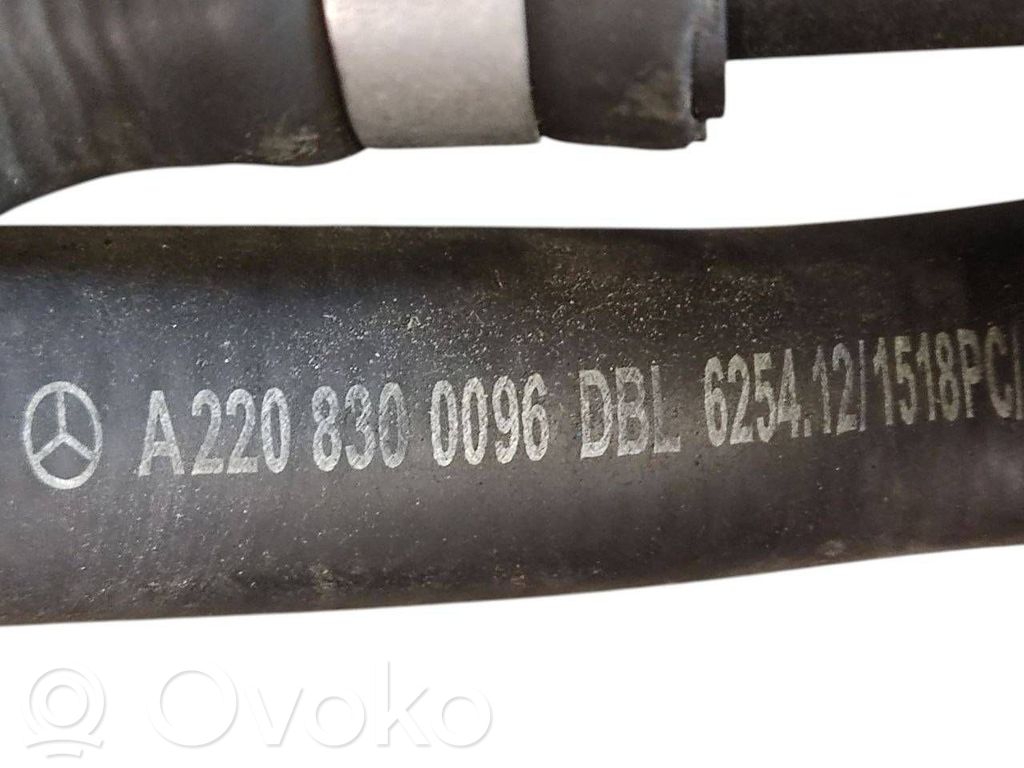 Caurulīte (-es) / šļūtene (-es)