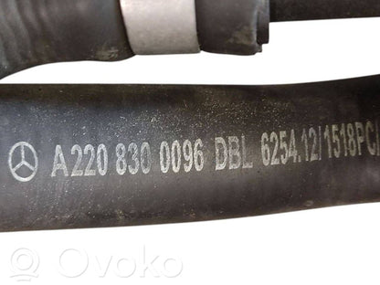 Caurulīte (-es) / šļūtene (-es)