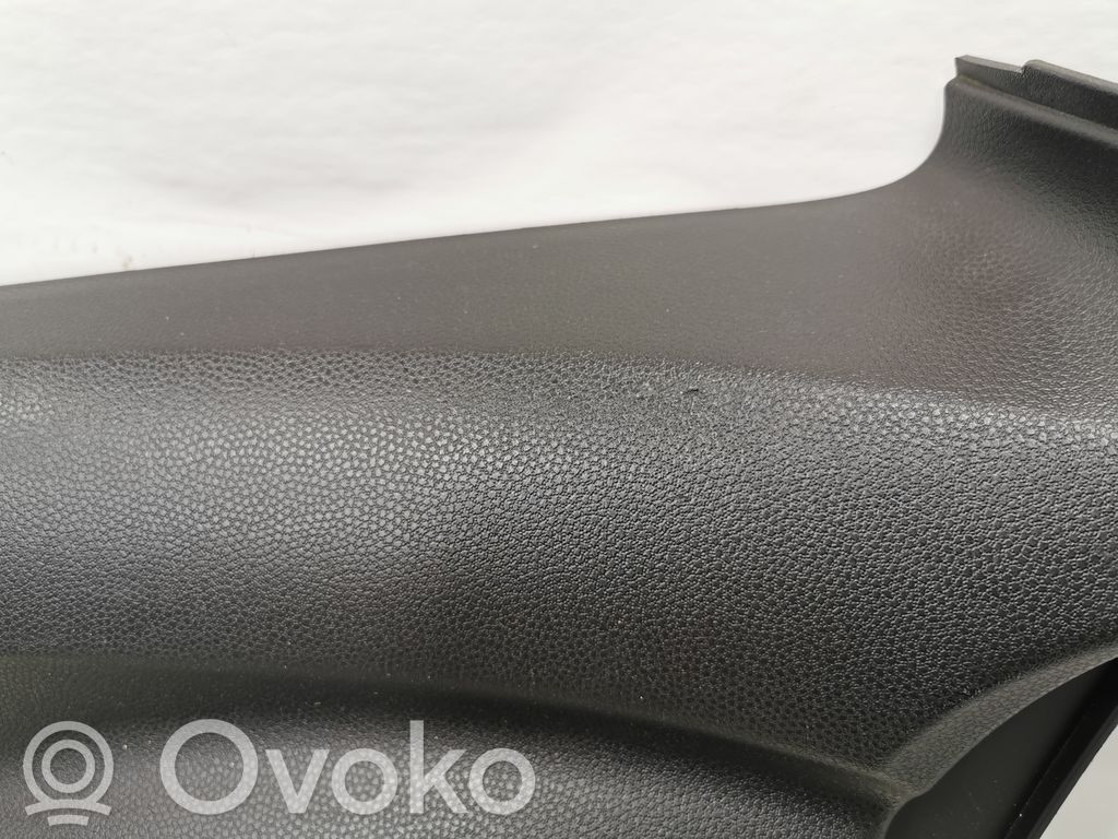 Apšuvums aizmugurējām durvīm