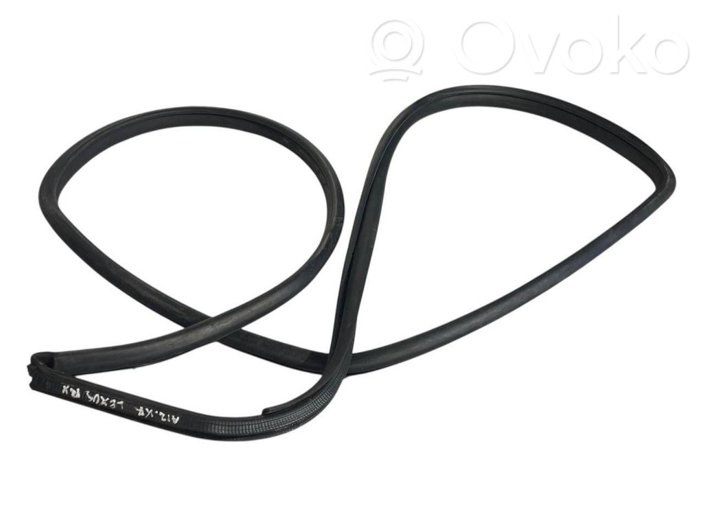 Aizmugurē apdares gumija (virsbūvē)