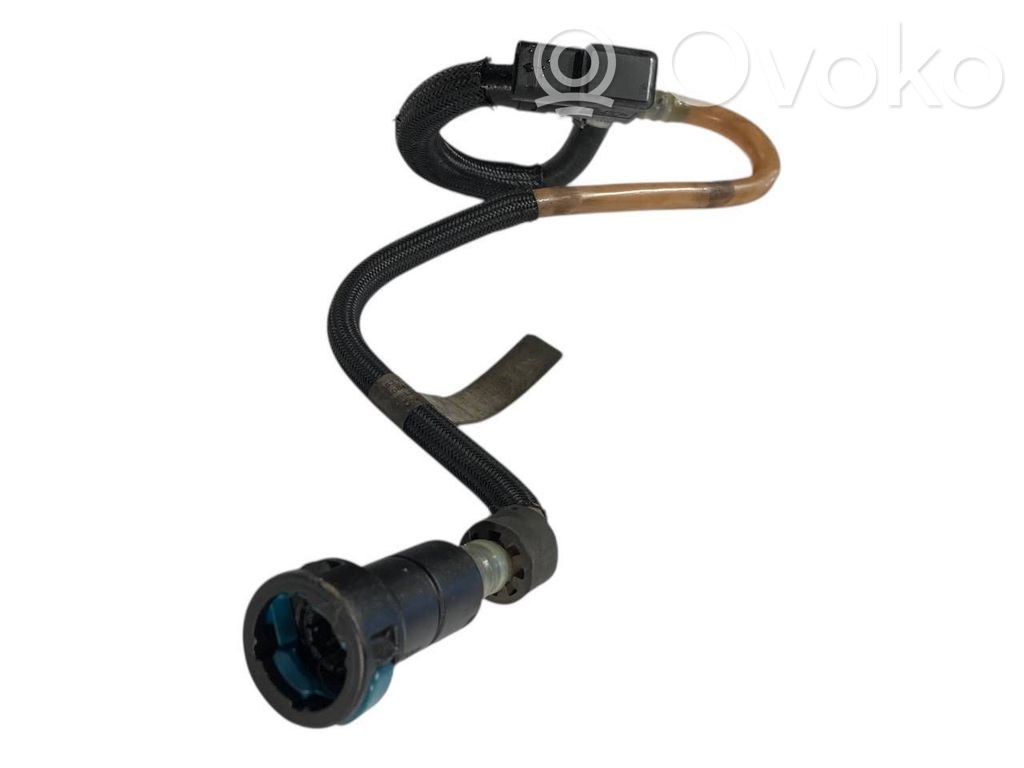 Caurule (-es) / šļūtene (-es)