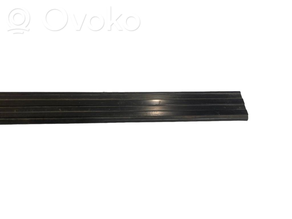 Front sill trim (external)