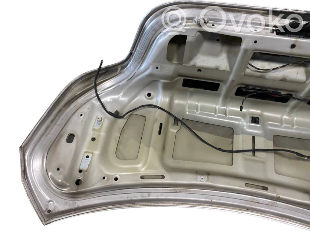 Aizmugurējais pārsegs (bagāžnieks)