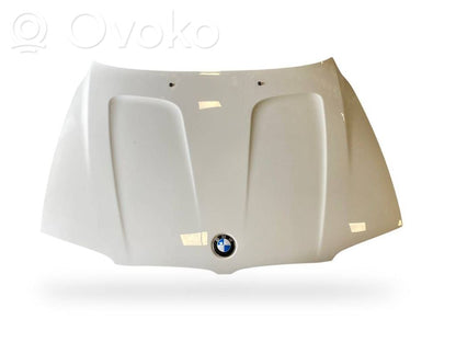 Dzinēja pārsegs (vāks)