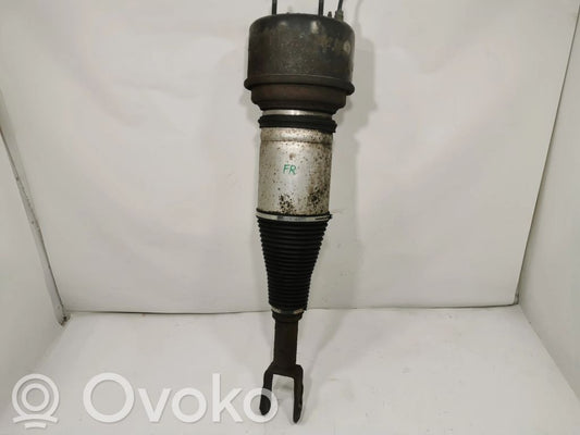 Priekšpusē pneimatiska (gaisa) spilvens ar amortizatoru