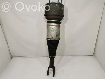 Передняя пневматическая (воздушная) подушка с амортизатором