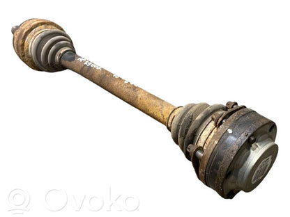 Aizmugurējā pusass