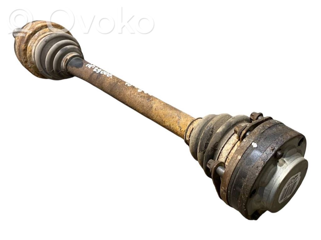 Aizmugurējā pusass