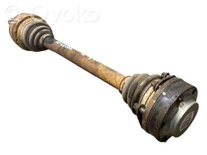 Aizmugurējā pusass