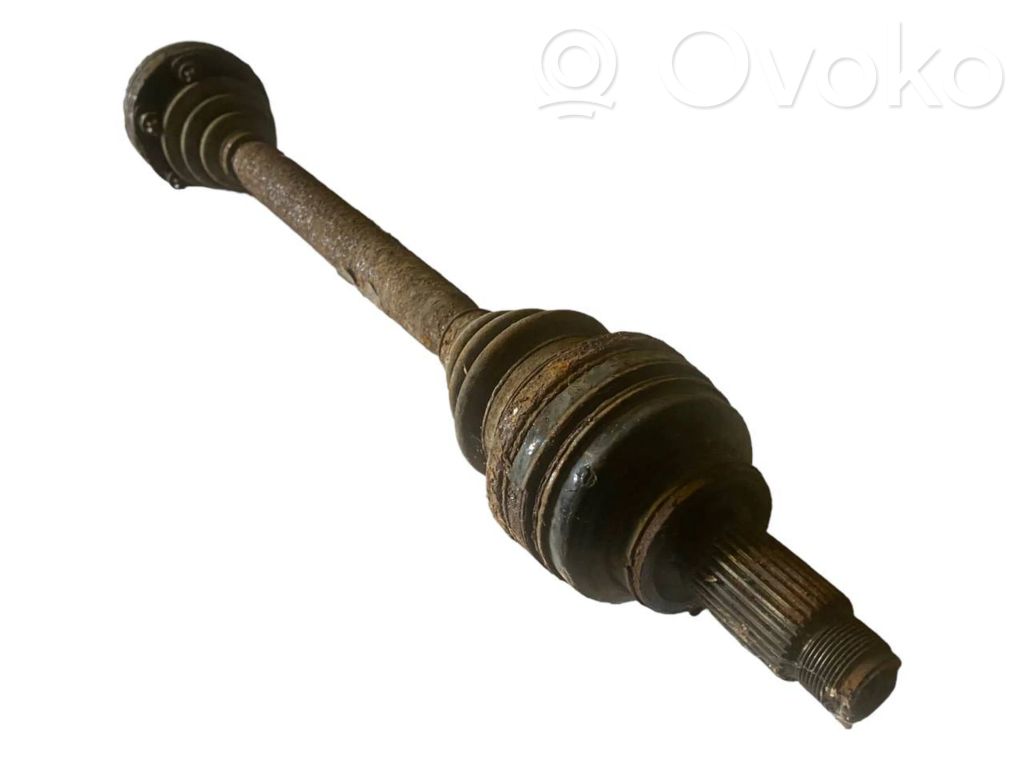 Aizmugurējā pusass