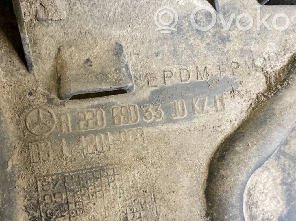 Aizmugurējais apakšspārns