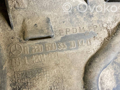 Aizmugurējais apakšspārns