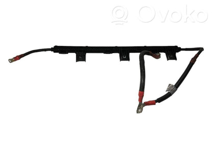 Plusa vads (akumulatora)