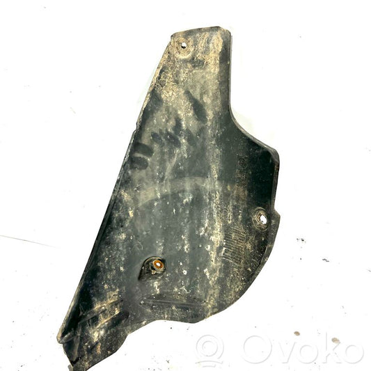 Aizmugurējais apakšspārns