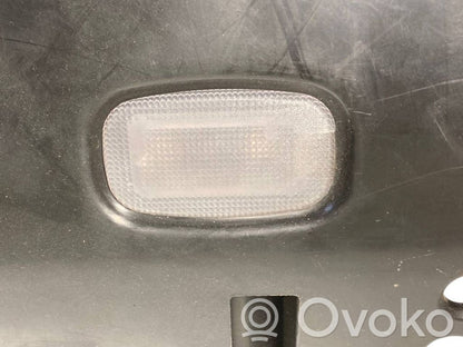 Panel decorative trim shield (lower)