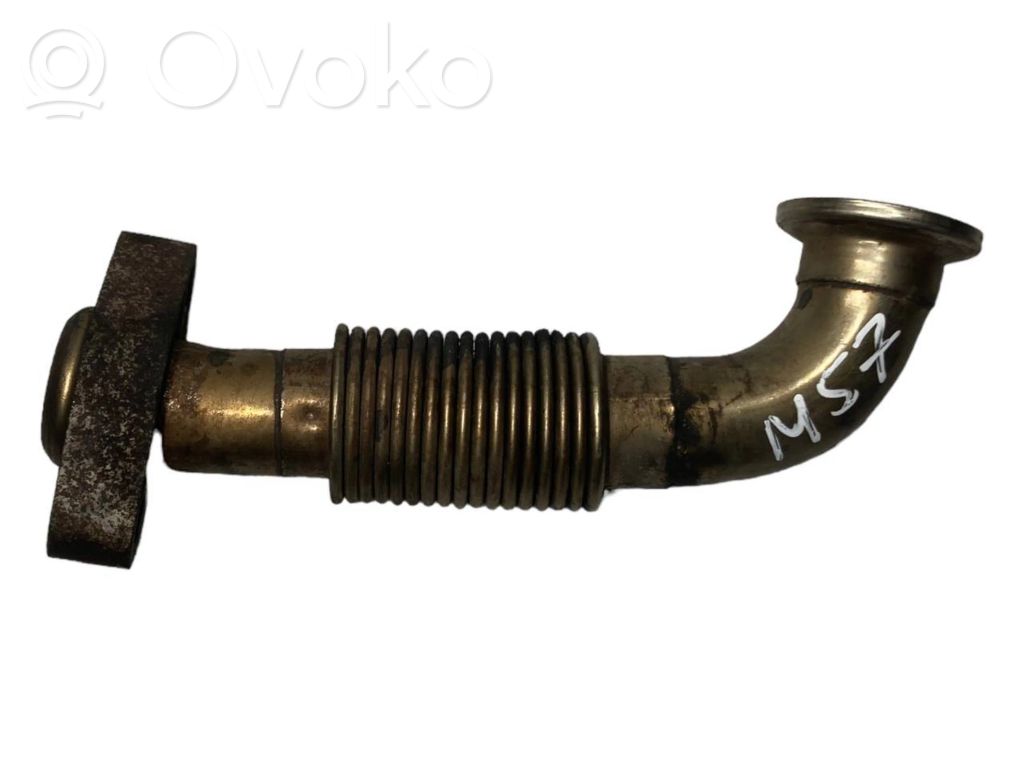 Caurulīte (-es) / šļūtene (-es)