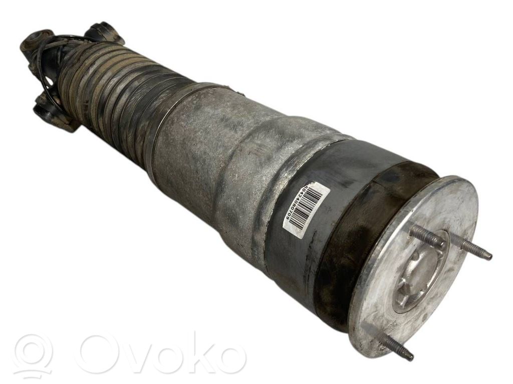 Rear shock absorber (air/hydraulic suspension)