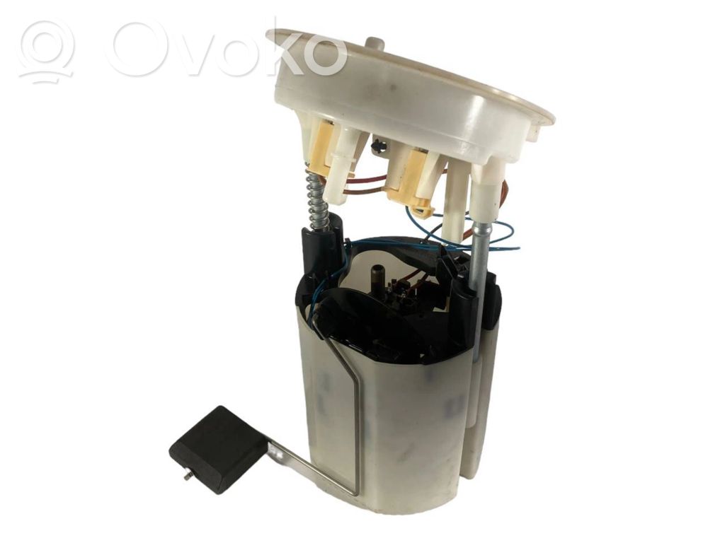 Fuel pump (in the fuel tank)