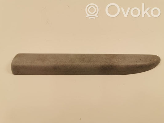 Fender decorative trim (molding)