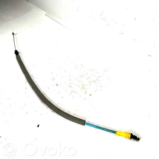 Trosīte