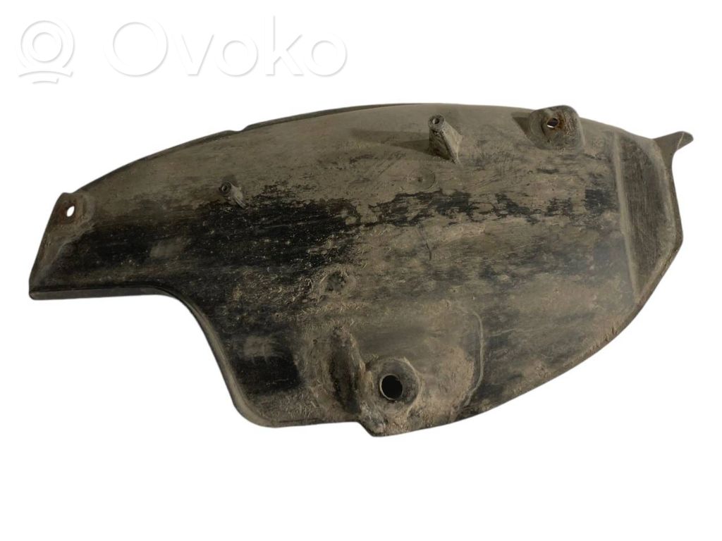 Aizmugurējais apakšspārns