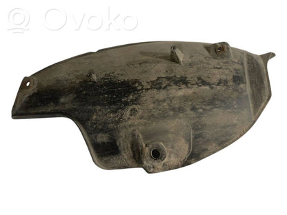 Aizmugurējais apakšspārns