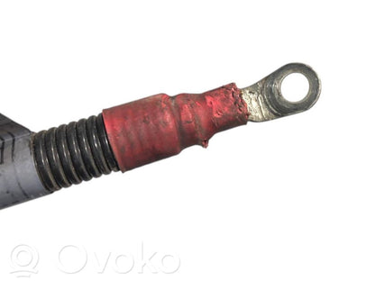 Plusa vads (akumulatora)