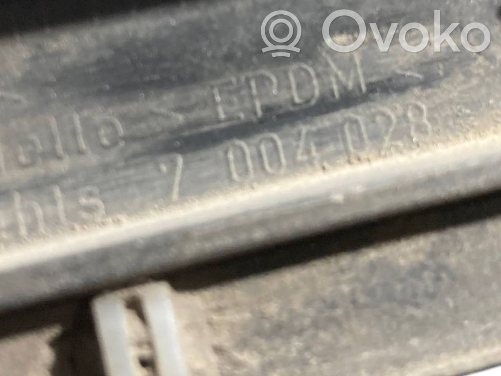 Fender decorative trim (molding)