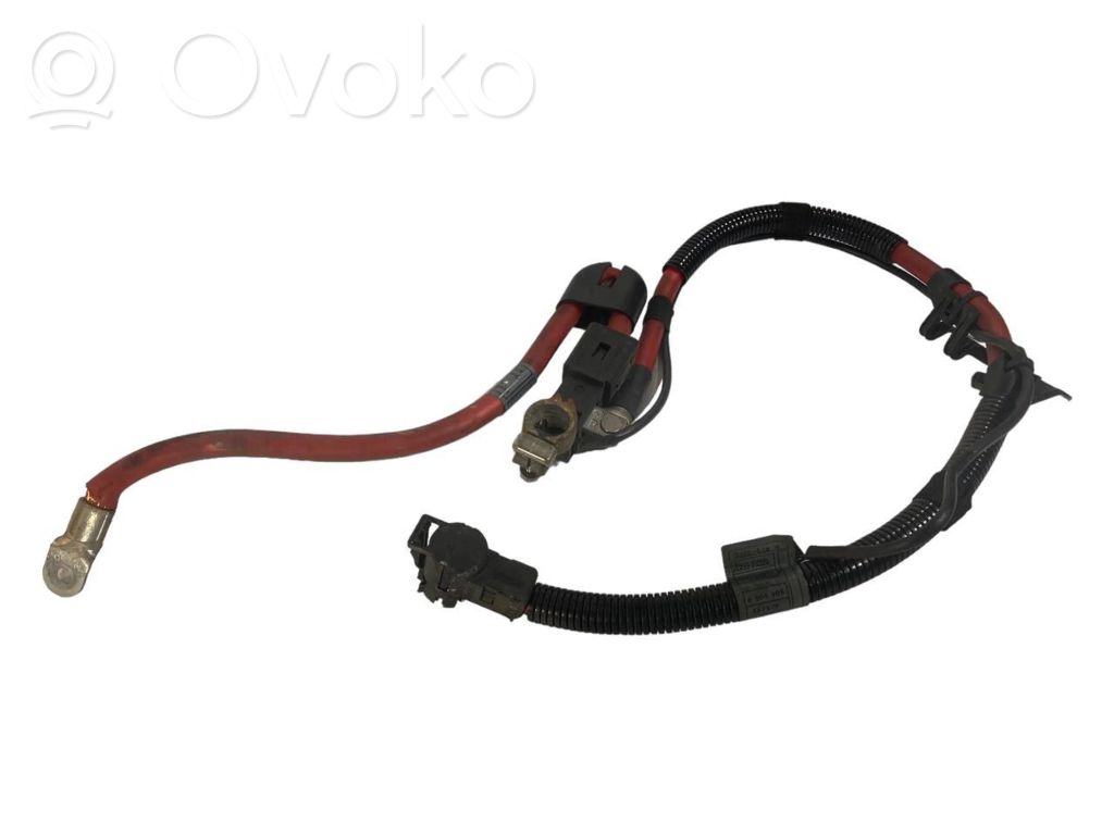 Plusa vads (akumulatora)